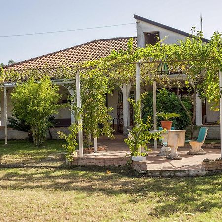 Villa Oidor - Cilento Ascea Exterior photo